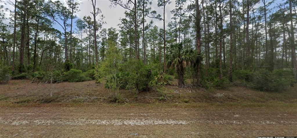 1315 MAPLE AVENUE N, Lehigh Acres, FL 33972