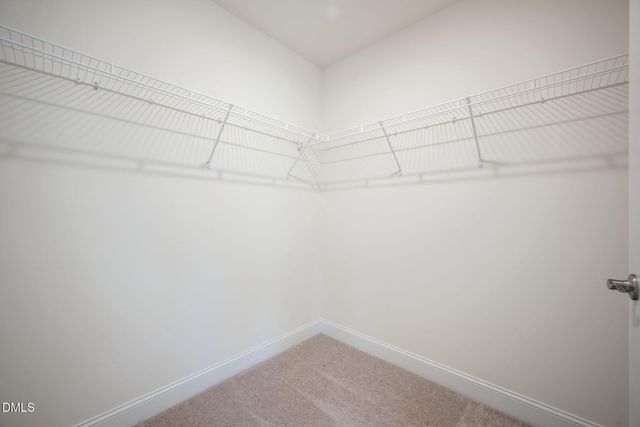 466 Channel Drop Drive, Clayton, NC 27520