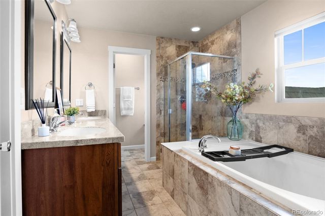 18076 French Creek Avenue, Parker, CO 80134