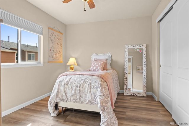 18076 French Creek Avenue, Parker, CO 80134