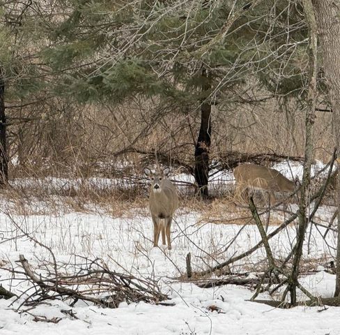 10025 Russell Avenue N 2, Brooklyn Park, MN 55444
