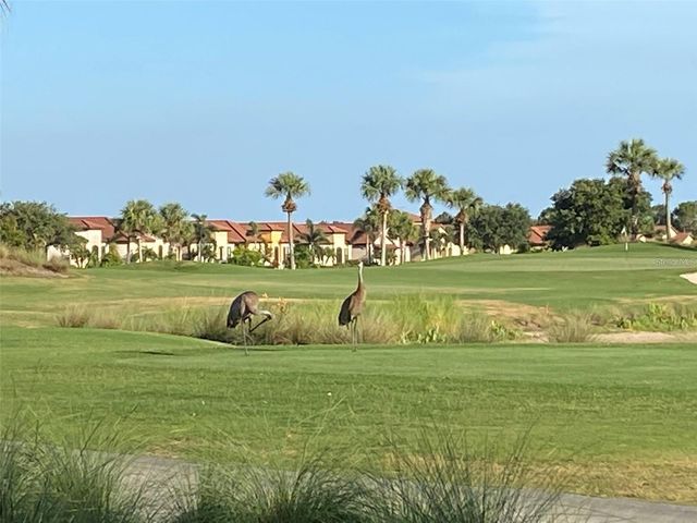 24173 SPARTINA DRIVE, Venice, FL 34293