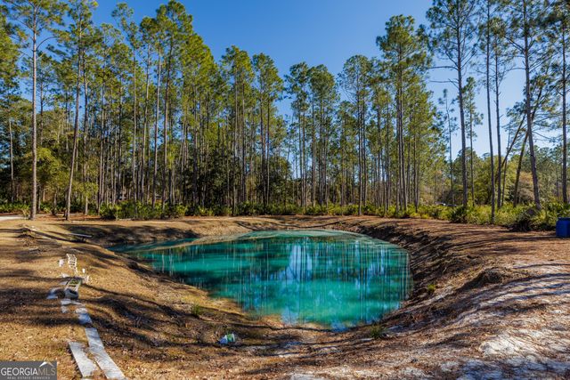 219 Buck Griffis Road, Homerville, GA 31634