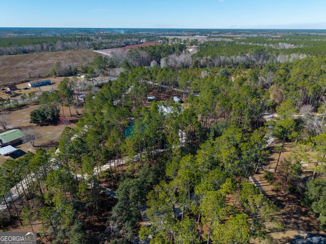 219 Buck Griffis Road, Homerville, GA 31634