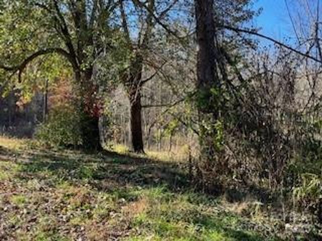 418 owl Hollow Road, Marion, NC 28752