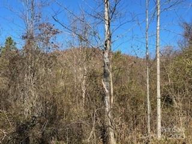 418 owl Hollow Road, Marion, NC 28752