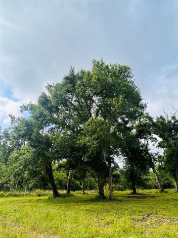 1214 Chuckwagon Court, Angleton, TX 77515