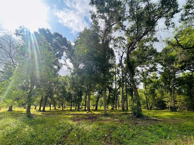 1214 Chuckwagon Court, Angleton, TX 77515