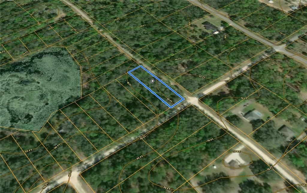 SMALLMAN STREET, Webster, FL 33597
