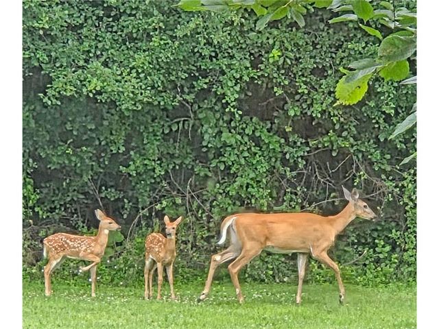 1048 85th Avenue, Amery, WI 54001