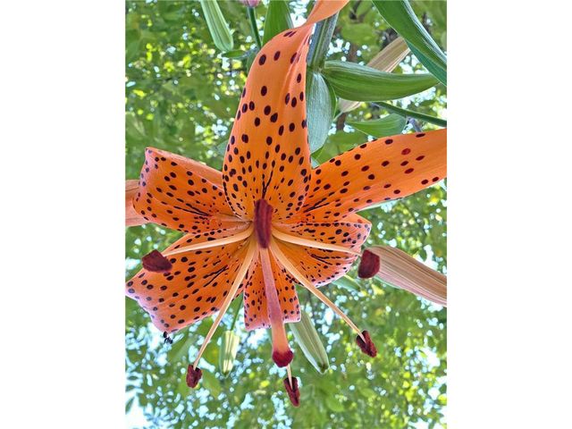 1048 85th Avenue, Amery, WI 54001