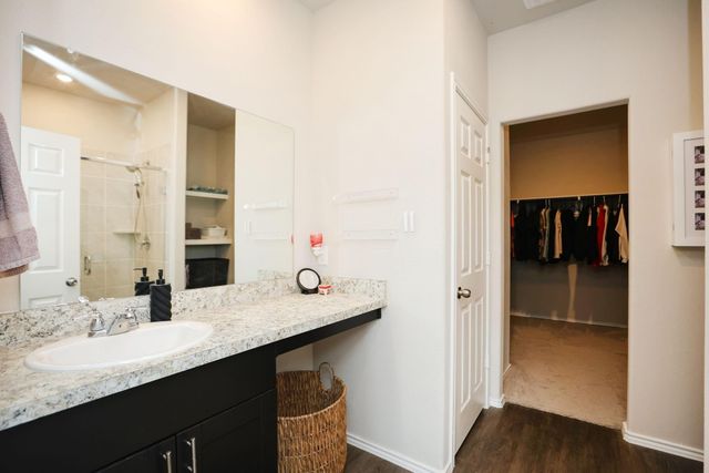25499 Blue Mistflower Drive, Montgomery, TX 77316