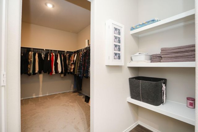 25499 Blue Mistflower Drive, Montgomery, TX 77316