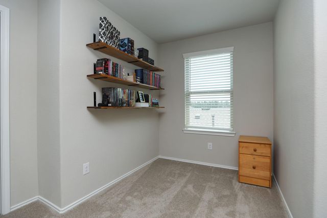 25499 Blue Mistflower Drive, Montgomery, TX 77316