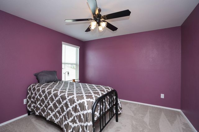 25499 Blue Mistflower Drive, Montgomery, TX 77316