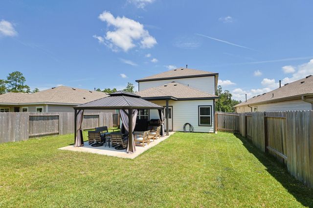 25499 Blue Mistflower Drive, Montgomery, TX 77316