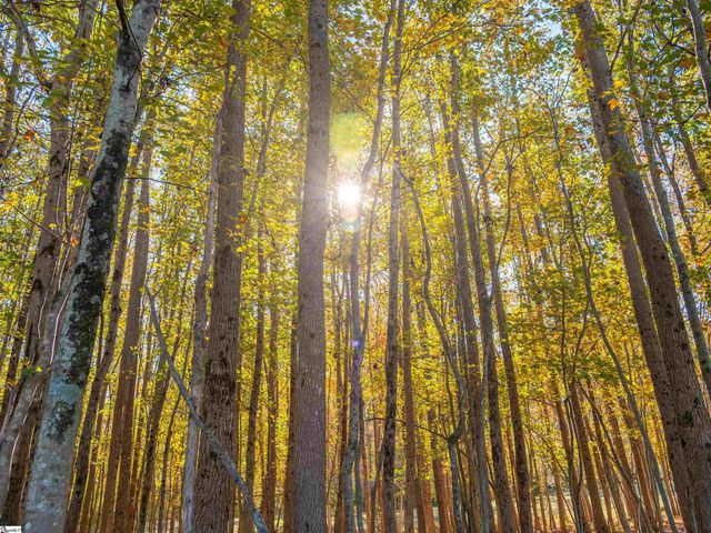 013 Taylor Road Lot 13, Honea Path, SC 29654