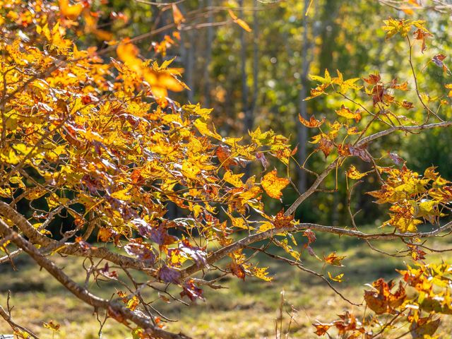 013 Taylor Road Lot 13, Honea Path, SC 29654