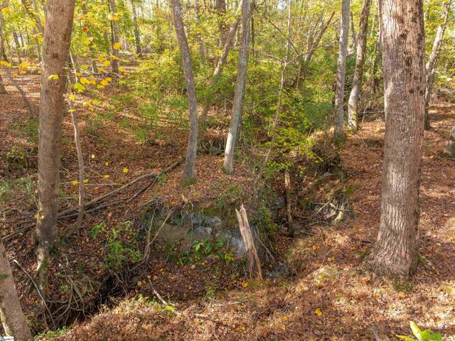 013 Taylor Road Lot 13, Honea Path, SC 29654