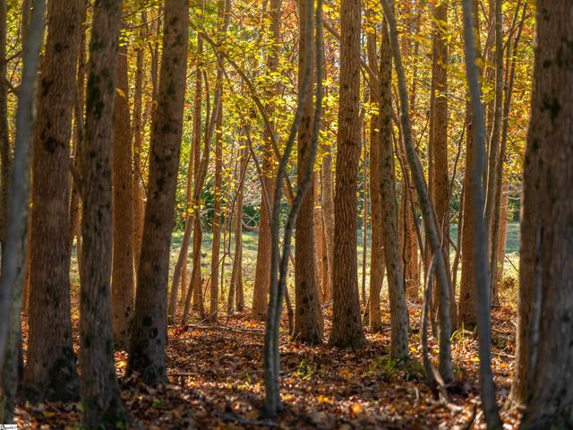 013 Taylor Road Lot 13, Honea Path, SC 29654