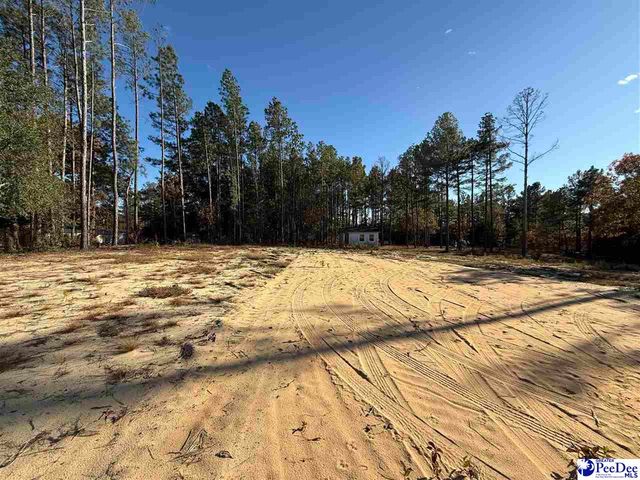 351 Jackson Street, Hartsville, SC 29550