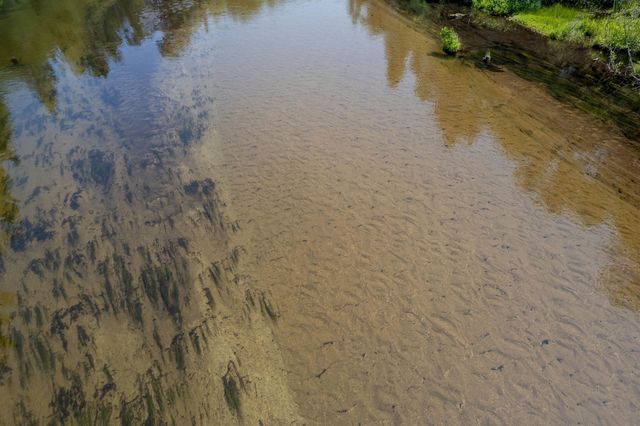 6483 W Plum Valley Road Nw, Rapid City, MI 49676