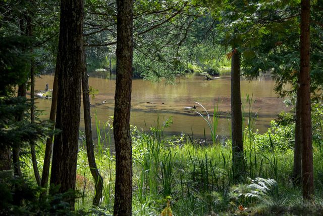 6483 W Plum Valley Road Nw, Rapid City, MI 49676