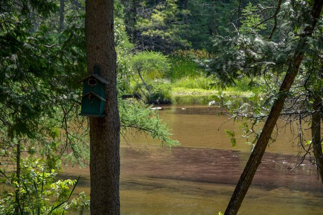 6483 W Plum Valley Road Nw, Rapid City, MI 49676