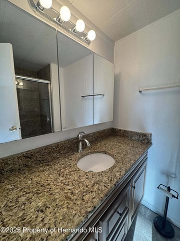 22 Hamilton Avenue, Palm Harbor, FL 34684