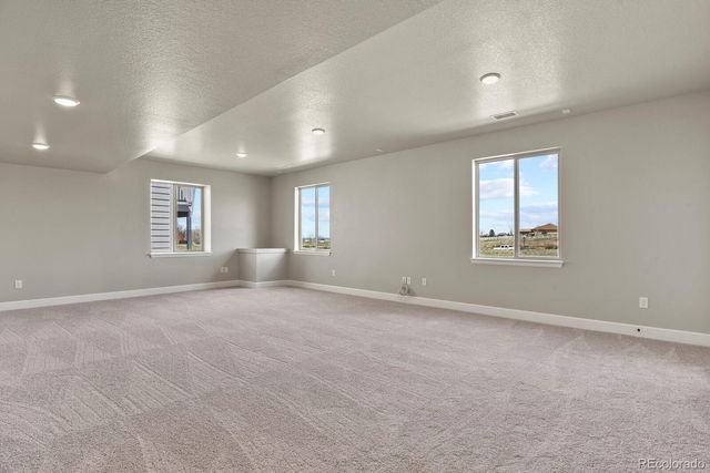 6697 Zebra Grass Lane, Parker, CO 80138