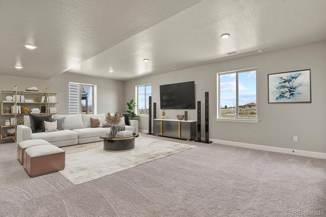 6697 Zebra Grass Lane, Parker, CO 80138
