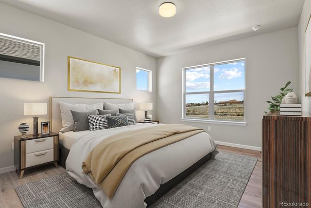 6697 Zebra Grass Lane, Parker, CO 80138