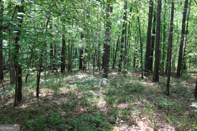 0 Hwy 87 Tract 3, Forsyth, GA 31029