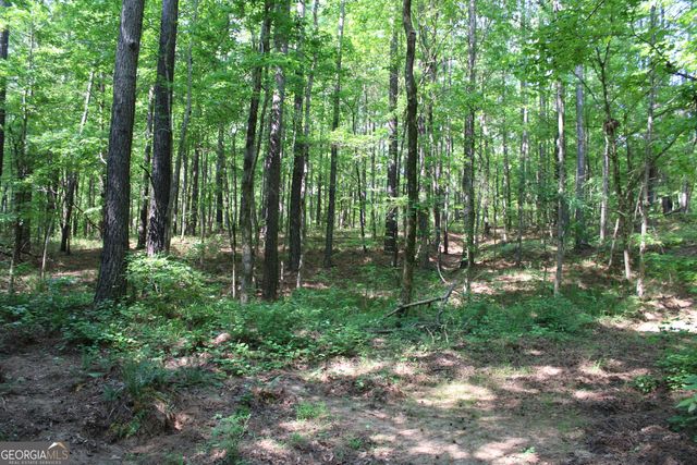 0 Hwy 87 Tract 3, Forsyth, GA 31029