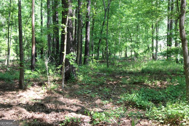 0 Hwy 87 Tract 3, Forsyth, GA 31029