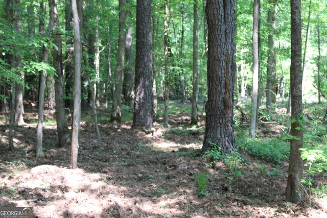 0 Hwy 87 Tract 3, Forsyth, GA 31029