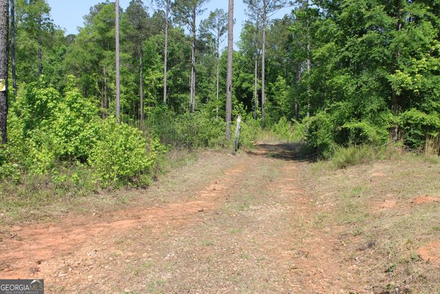 0 Hwy 87 Tract 3, Forsyth, GA 31029