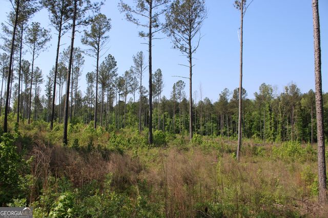 0 Hwy 87 Tract 3, Forsyth, GA 31029