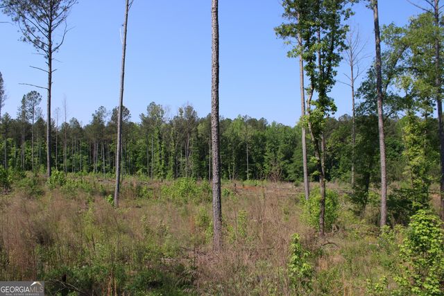 0 Hwy 87 Tract 3, Forsyth, GA 31029