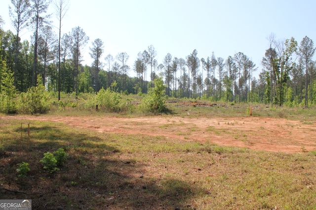 0 Hwy 87 Tract 3, Forsyth, GA 31029
