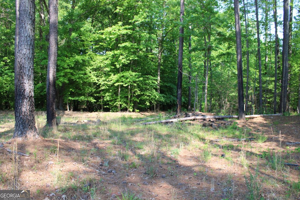 0 Hwy 87 Tract 3, Forsyth, GA 31029