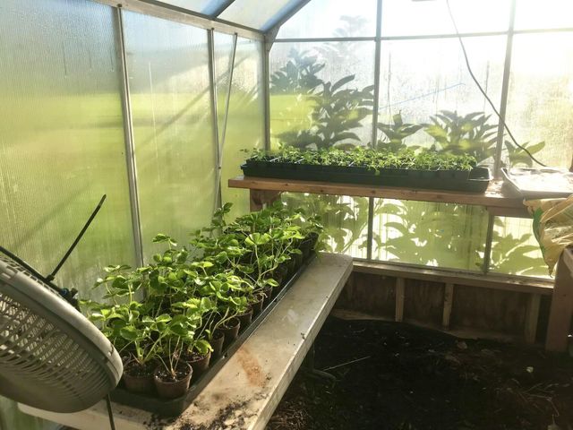 1418 NW 141st Street, Okeechobee, FL 34972