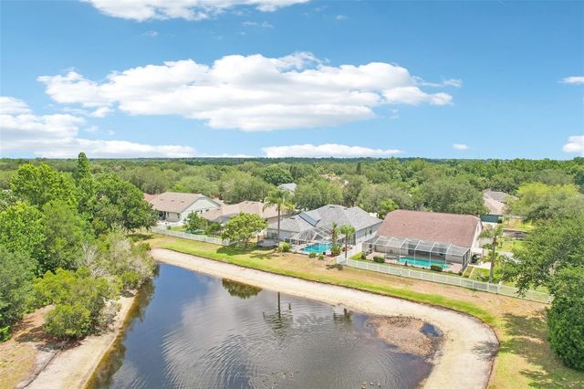 9607 BIRNAMWOOD STREET, Riverview, FL 33569