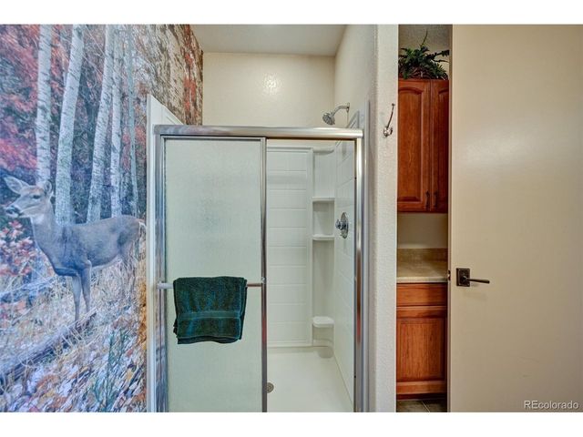 1136 Bellows Rd, Hartsel, CO 80449