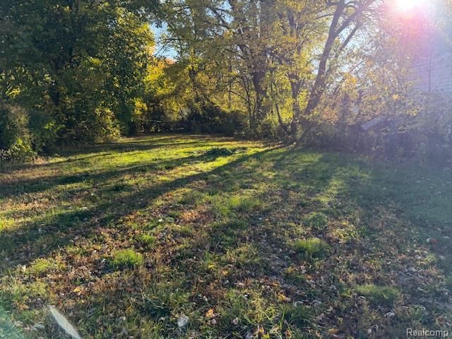 12134 Braile Street, Detroit, MI 48228