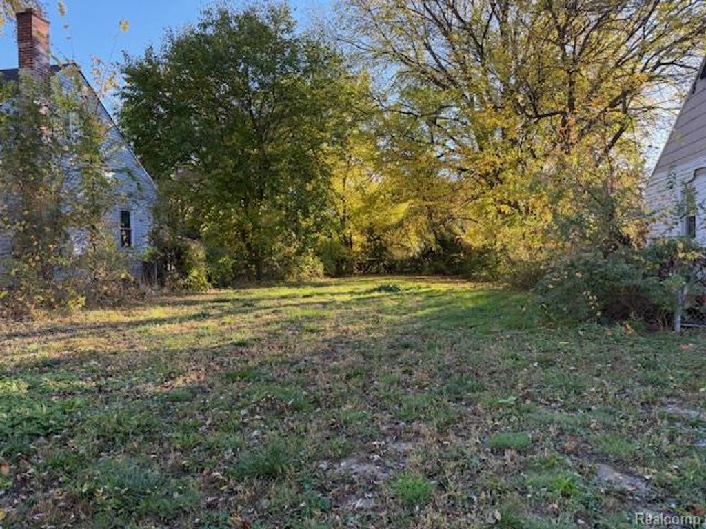 12134 Braile Street, Detroit, MI 48228