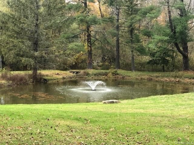 20 Abbeyfield Lane, Brewster, NY 10509