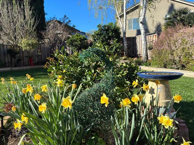 1536 Jackdow Court, Gilroy, CA 95020