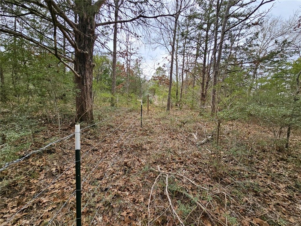 TBD Jackrabbit Lane, Bryan, TX 77808 — photo 3