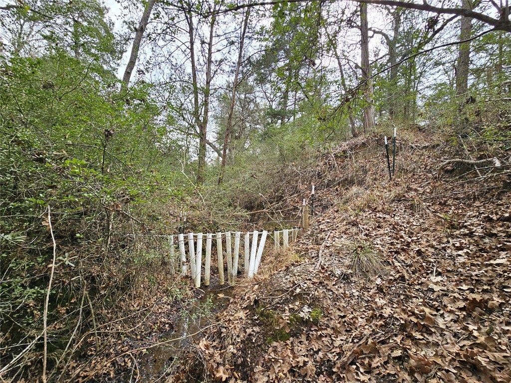TBD Jackrabbit Lane, Bryan, TX 77808 — photo 4